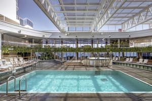 MSC Cruises MSC Seashore Jungle Pool Lounge 5.jpg